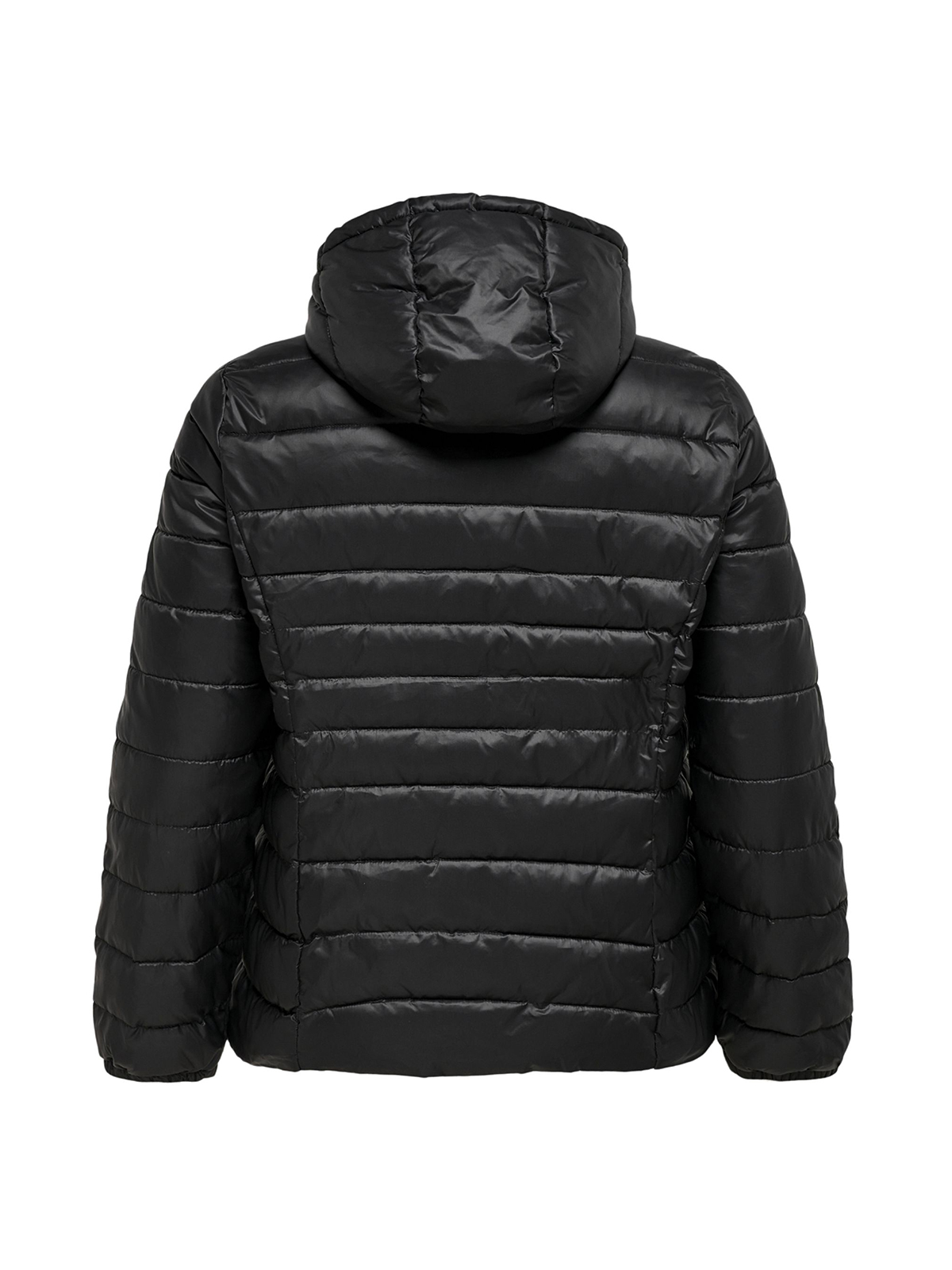 Μπουφάν Cartahoe με καπιτονέ σχέδιο φωτογραφία