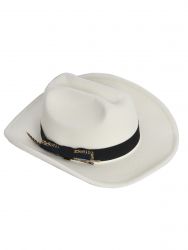 Fedora hat with feather detail