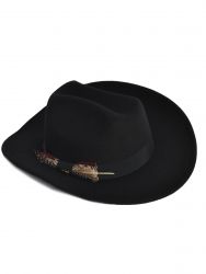 Fedora hat with feather detail