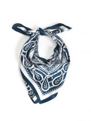 Paisley print scarf