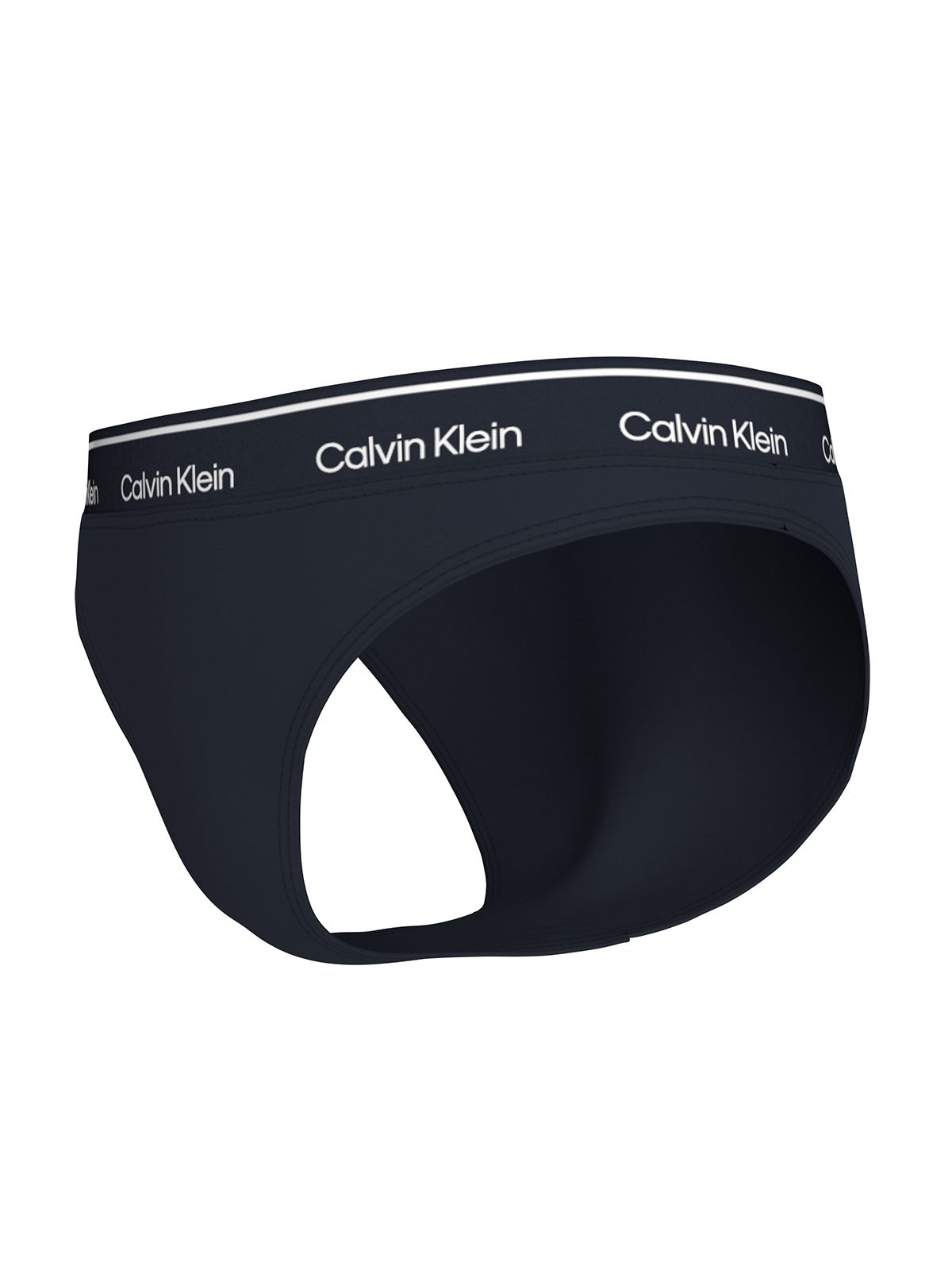 Bikini Bottoms - CK Meta Legacy