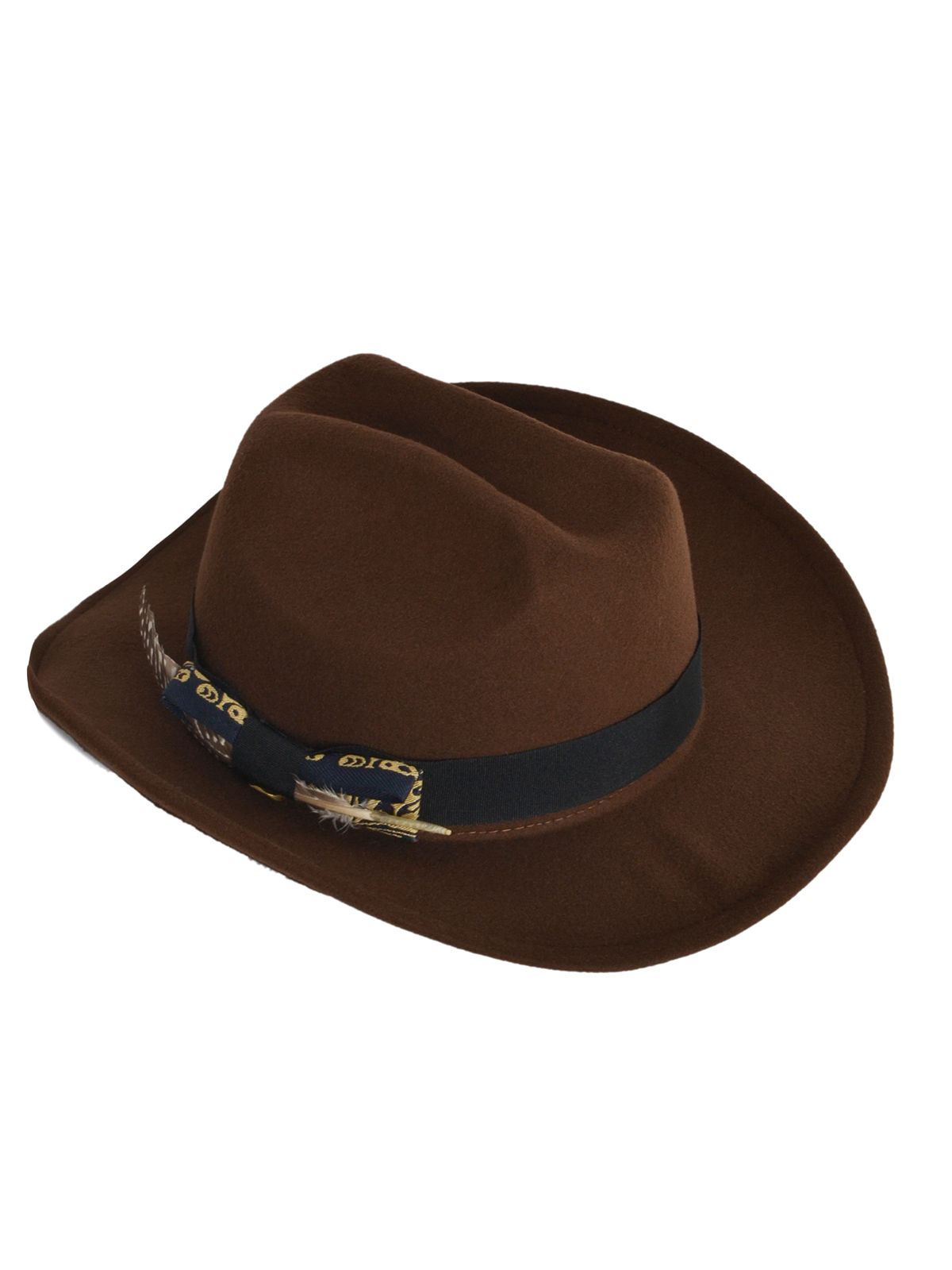 Fedora hat with feather detail