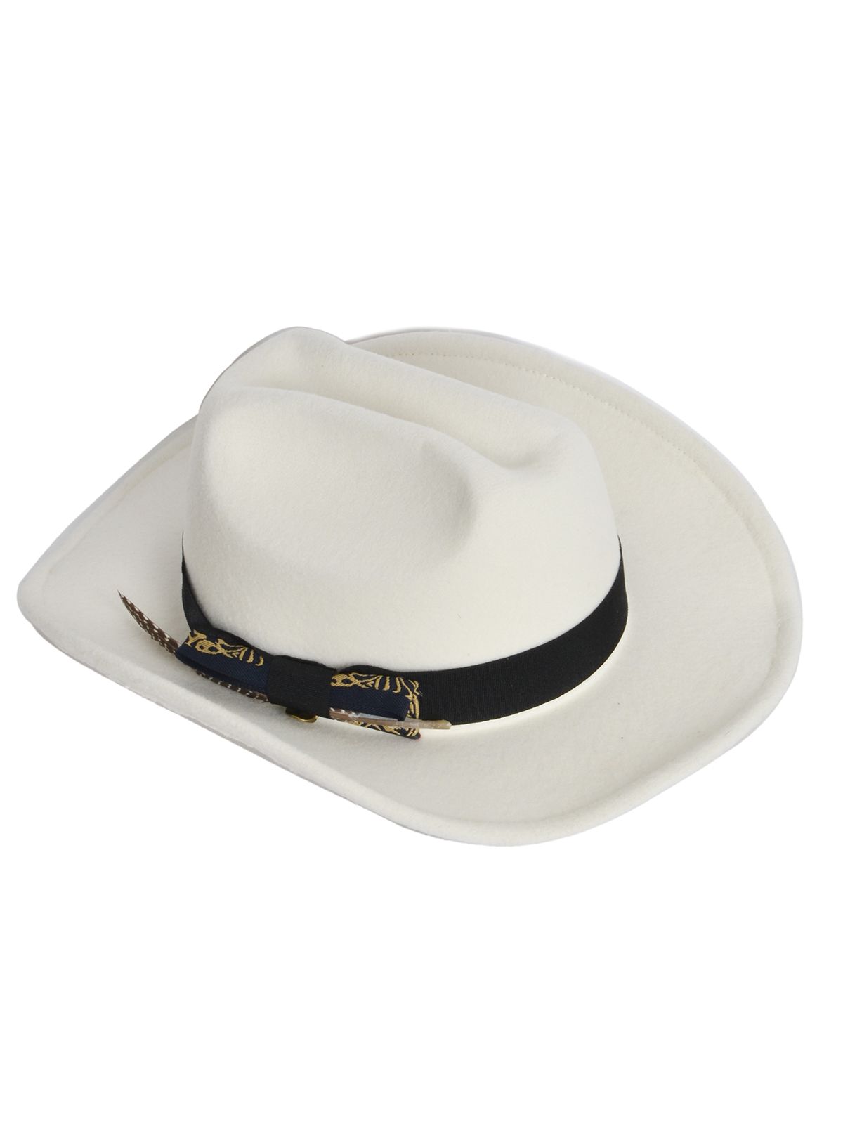 Fedora hat with feather detail