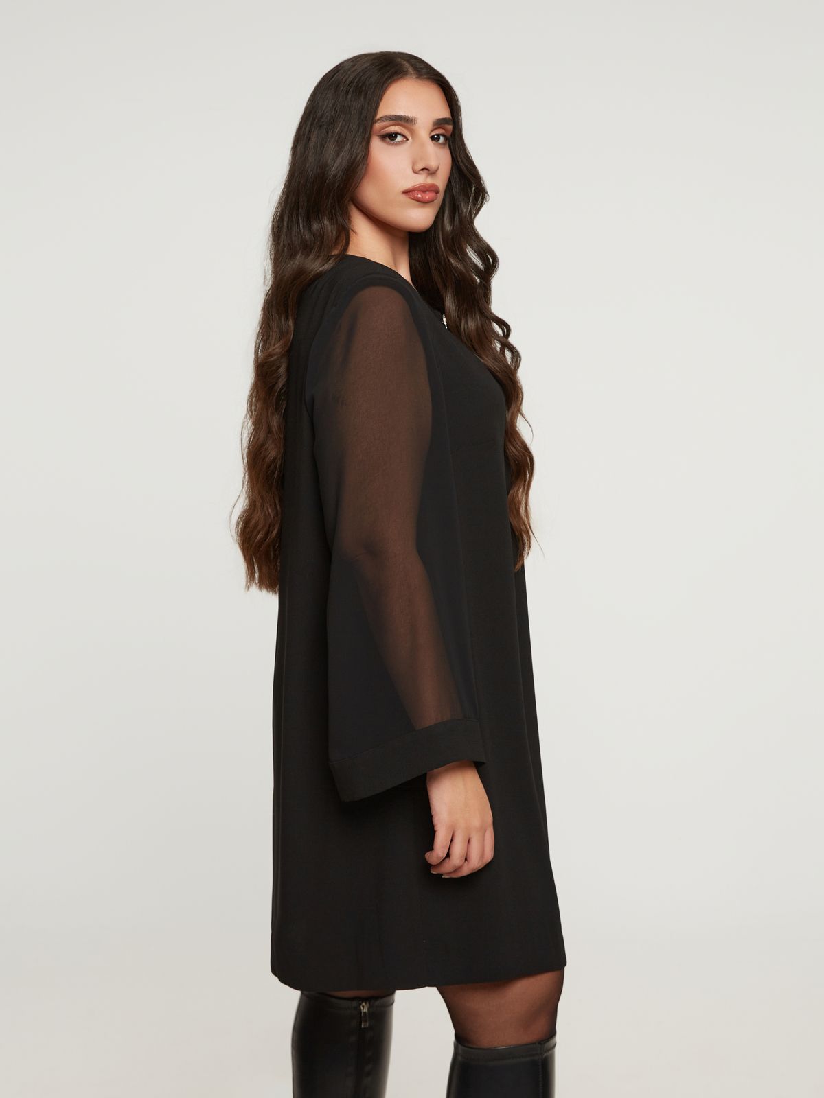 Dress with sheer sleeves and embellished neckline