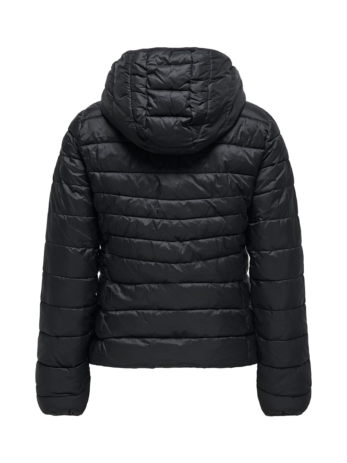 Cartahoe reversible hood jacket