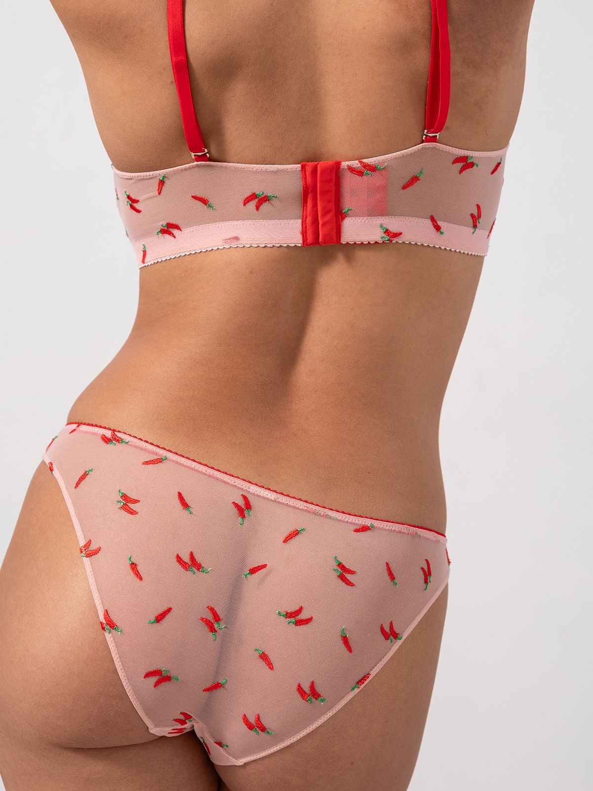 Mesh Bikini Briefs Powder Pink/Fiery Red