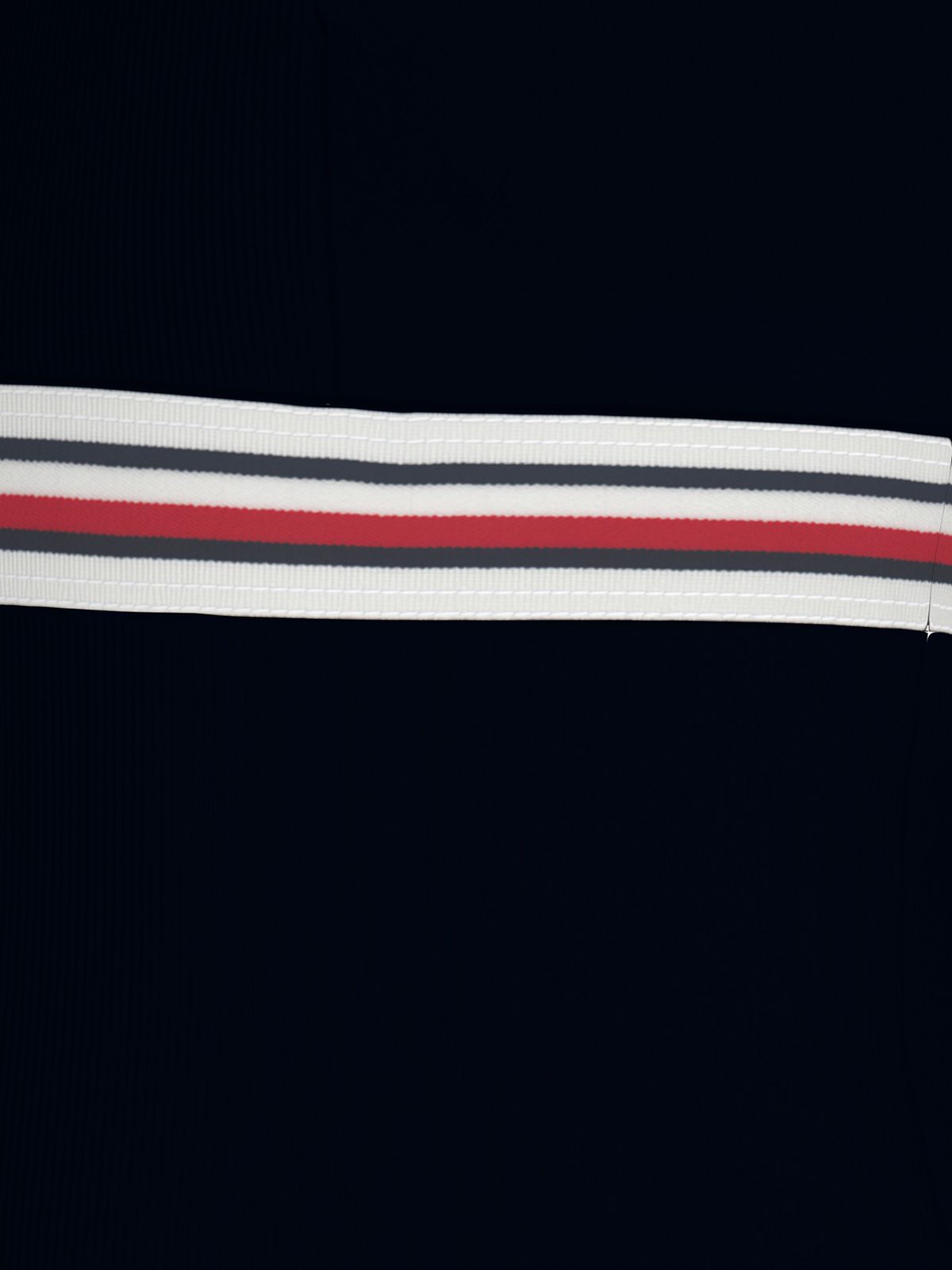 Global Stripe Plunge Neck Swimsuit
