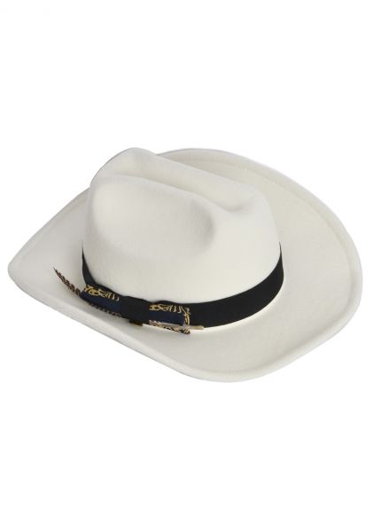 Fedora hat with feather detail