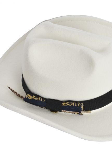 Fedora hat with feather detail