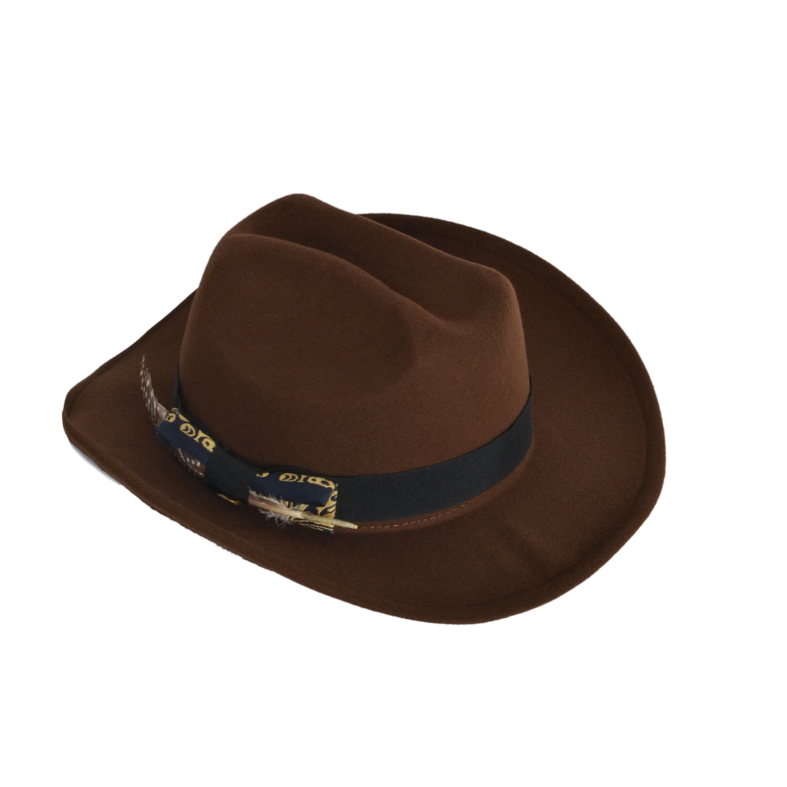 Fedora hat with feather detail
