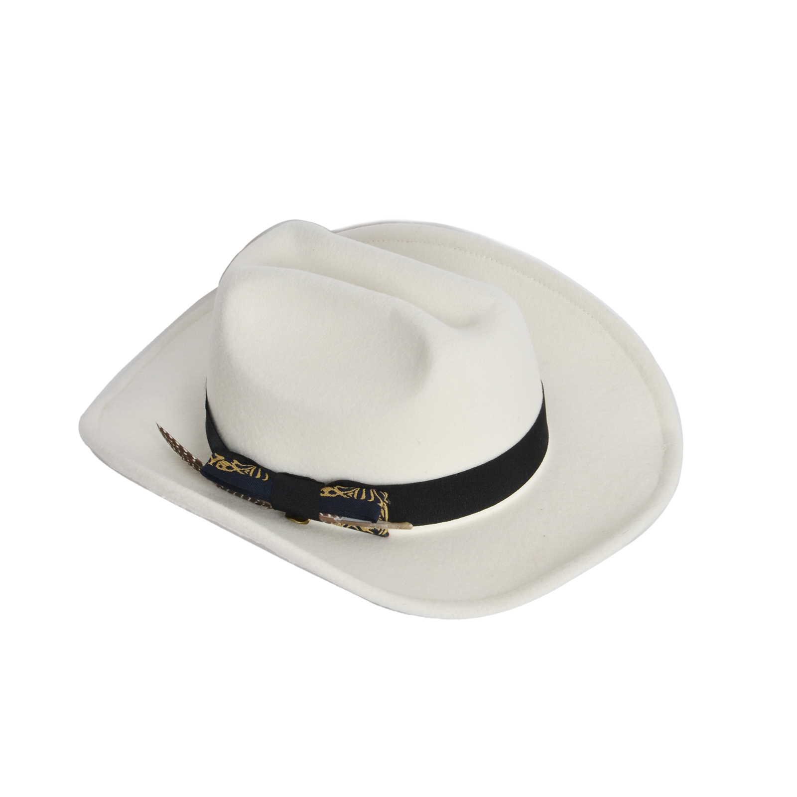 Fedora hat with feather detail