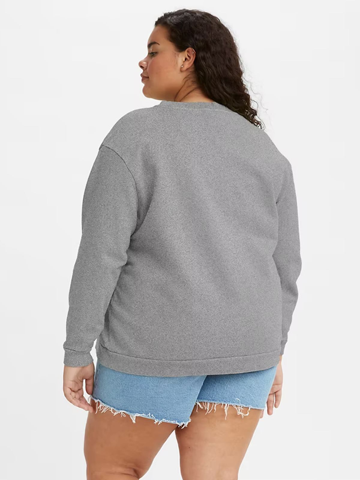 Μπλούζα φούτερ Graphic Sweatshirt φωτογραφία