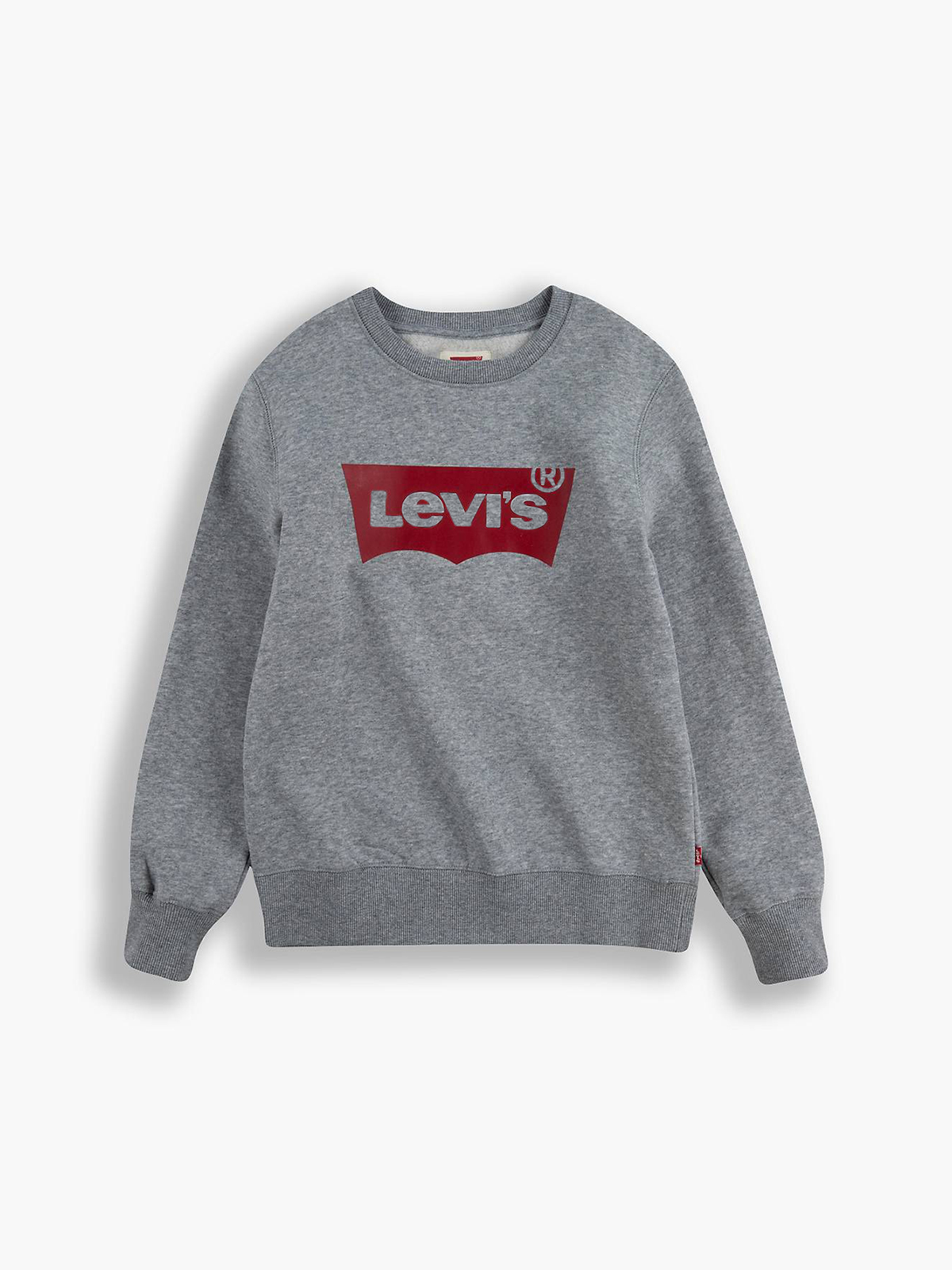 Μπλούζα φούτερ Graphic Sweatshirt φωτογραφία