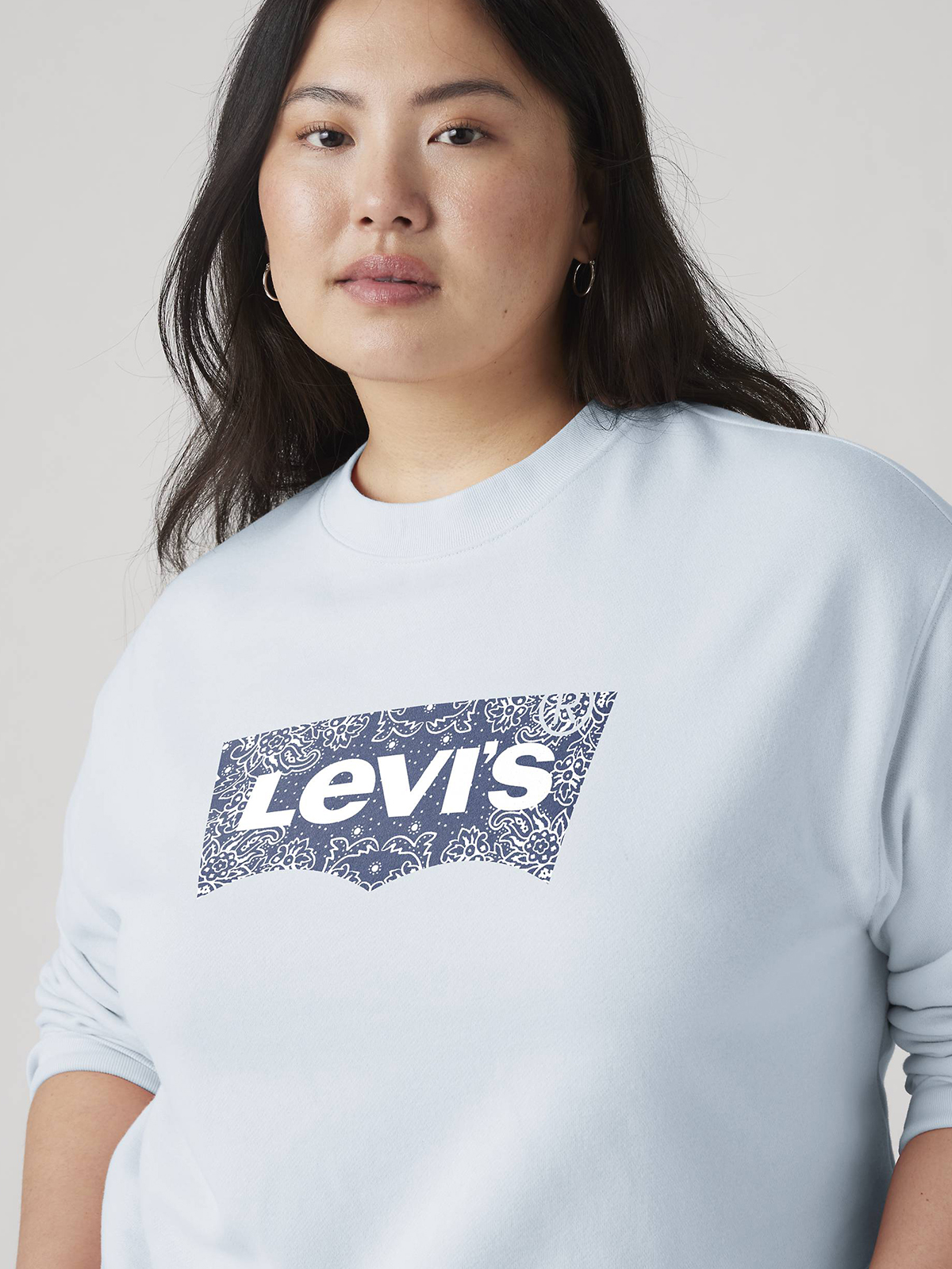 Μπλούζα φούτερ Graphic Standard Crewneck Sweatshirt φωτογραφία