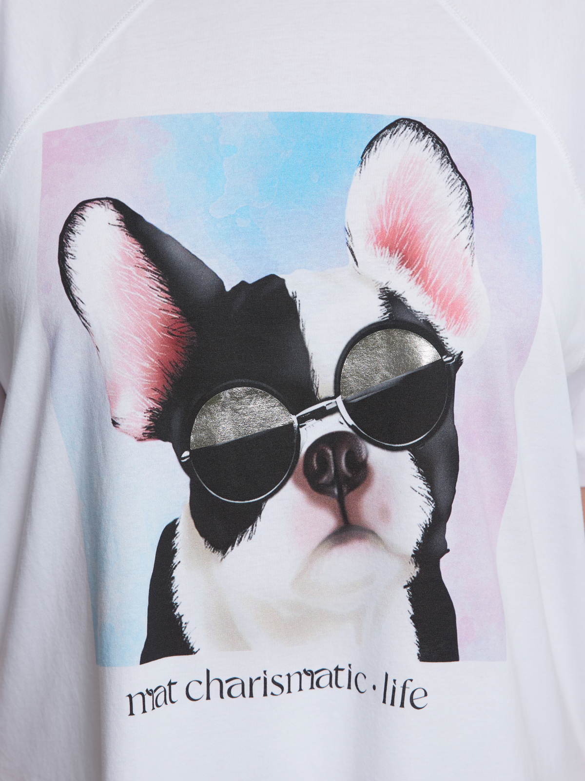 Βαμβακερή μπλούζα t-shirt με στάμπα frenchie φωτογραφία