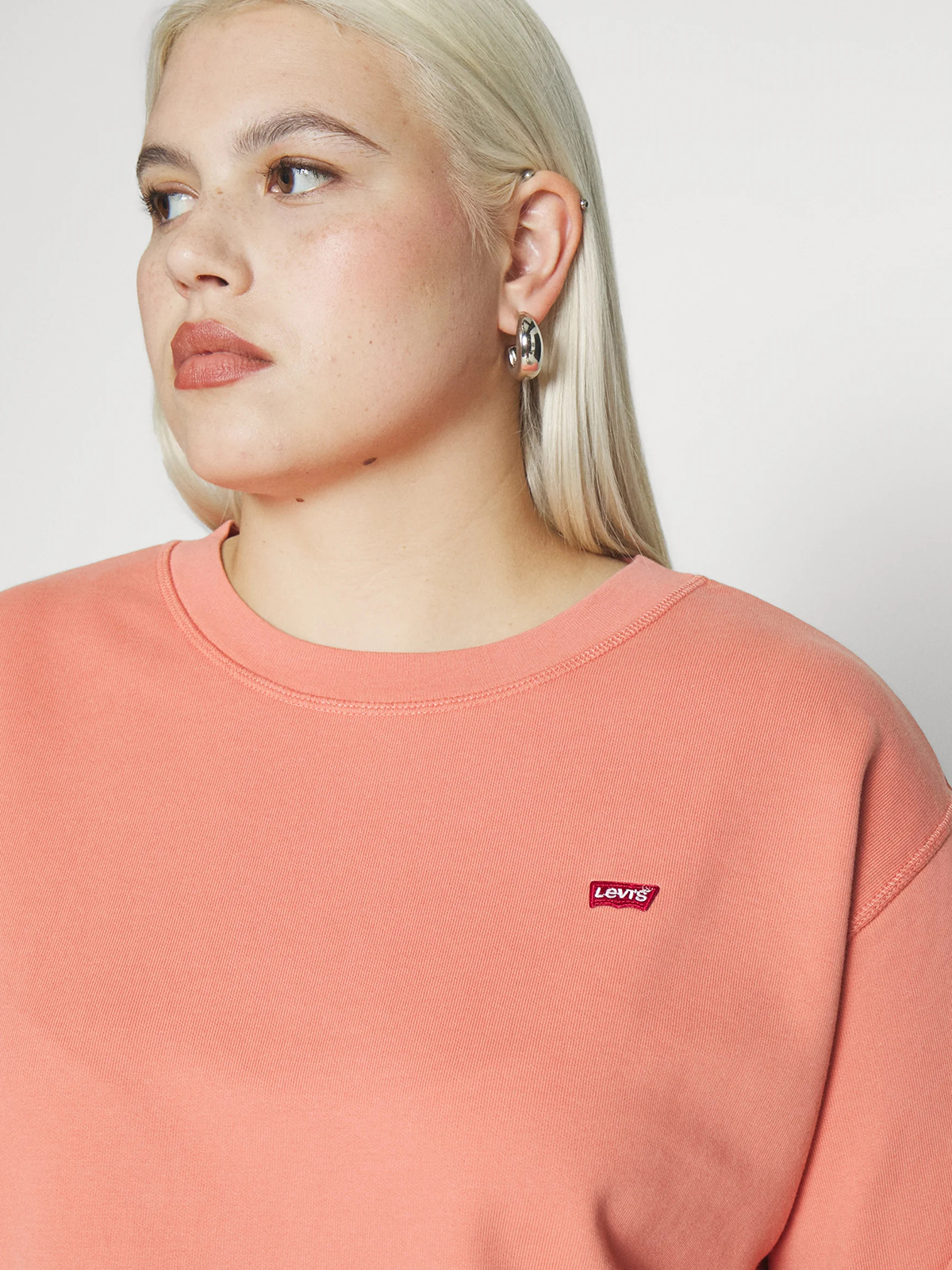 Μπλούζα φούτερ Standard Sweatshirt φωτογραφία