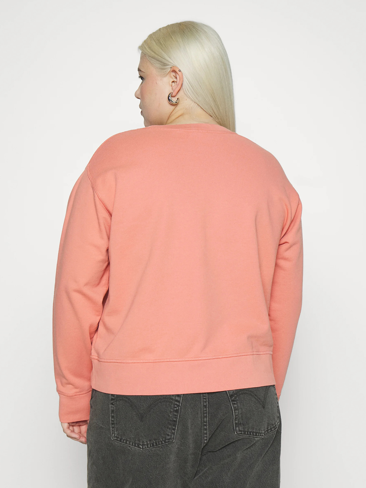 Μπλούζα φούτερ Standard Sweatshirt φωτογραφία