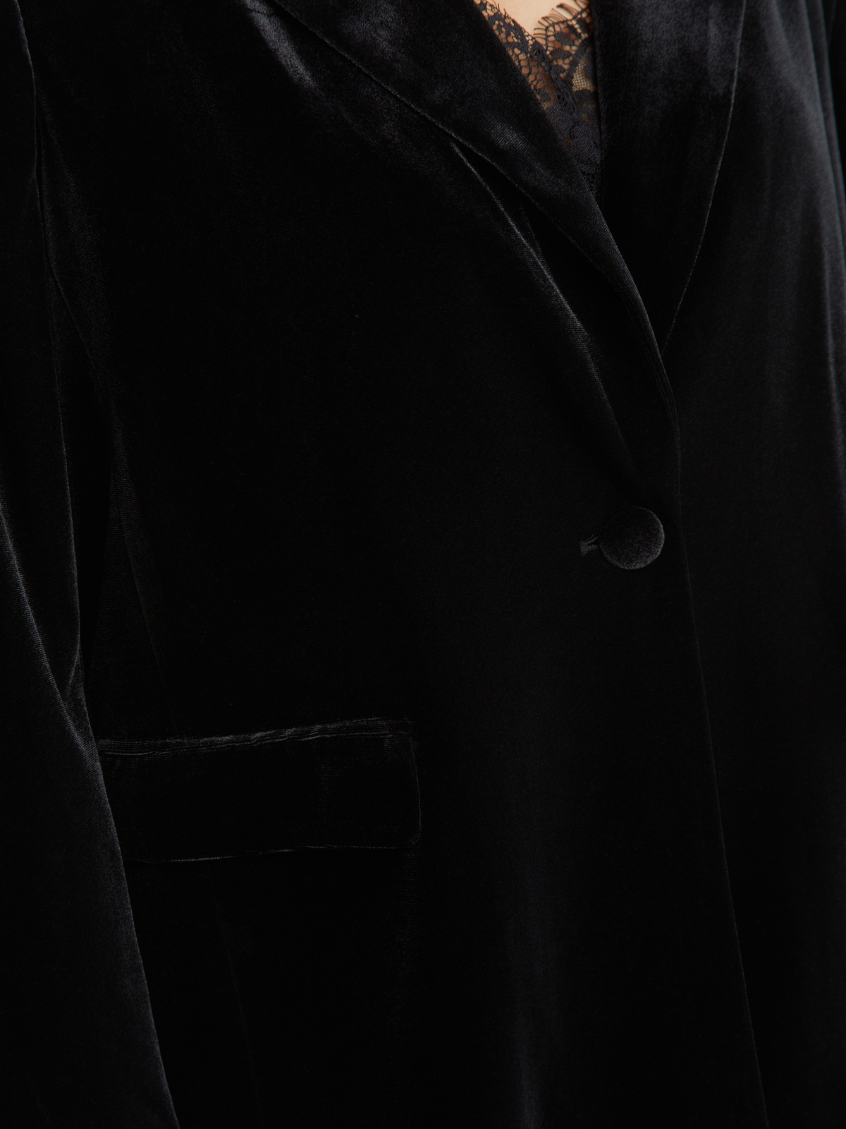 Βελούδινο σακάκι φωτογραφία