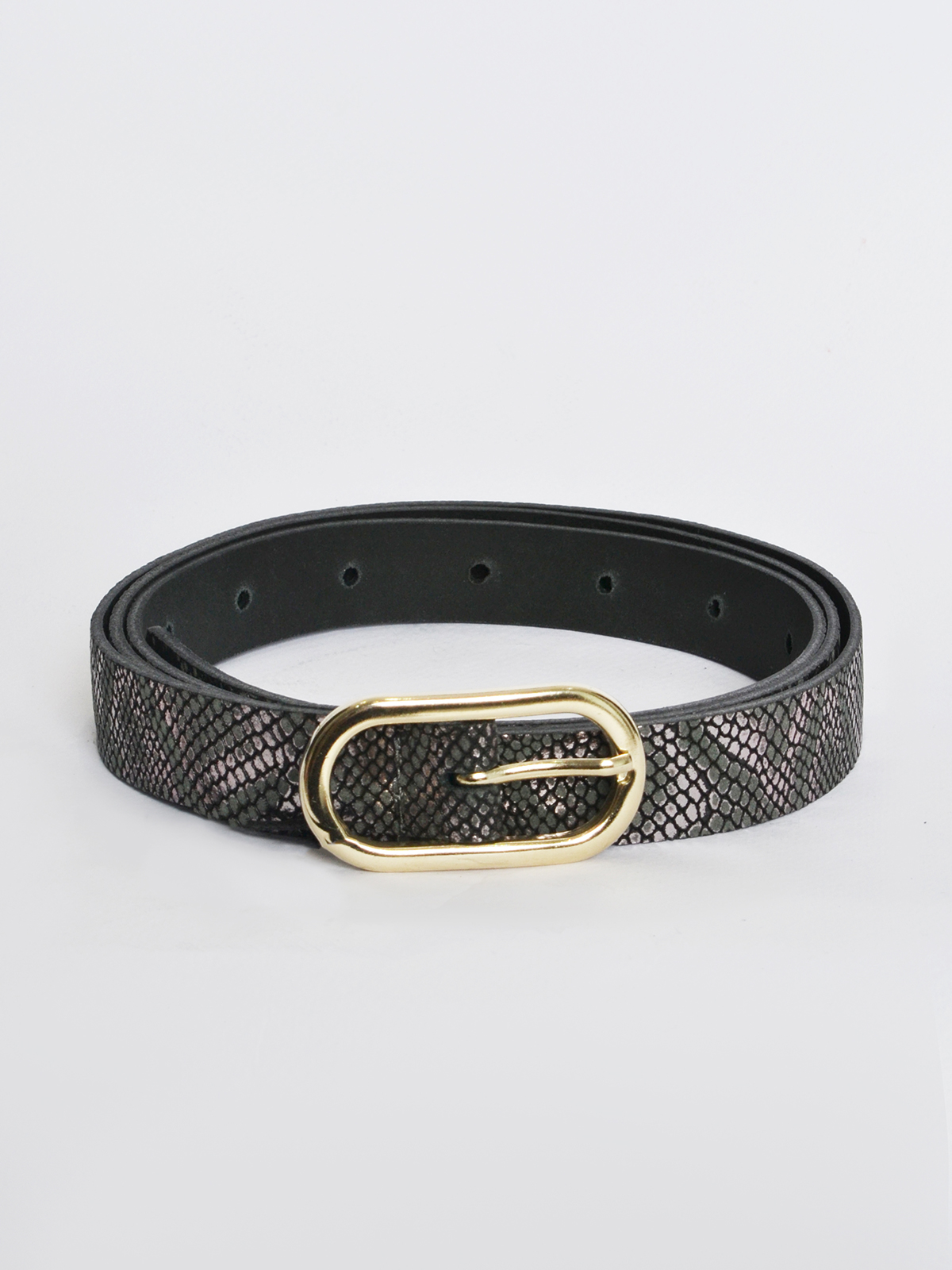 Δερμάτινη snakeskin ζώνη με metallic μοτίβο φωτογραφία