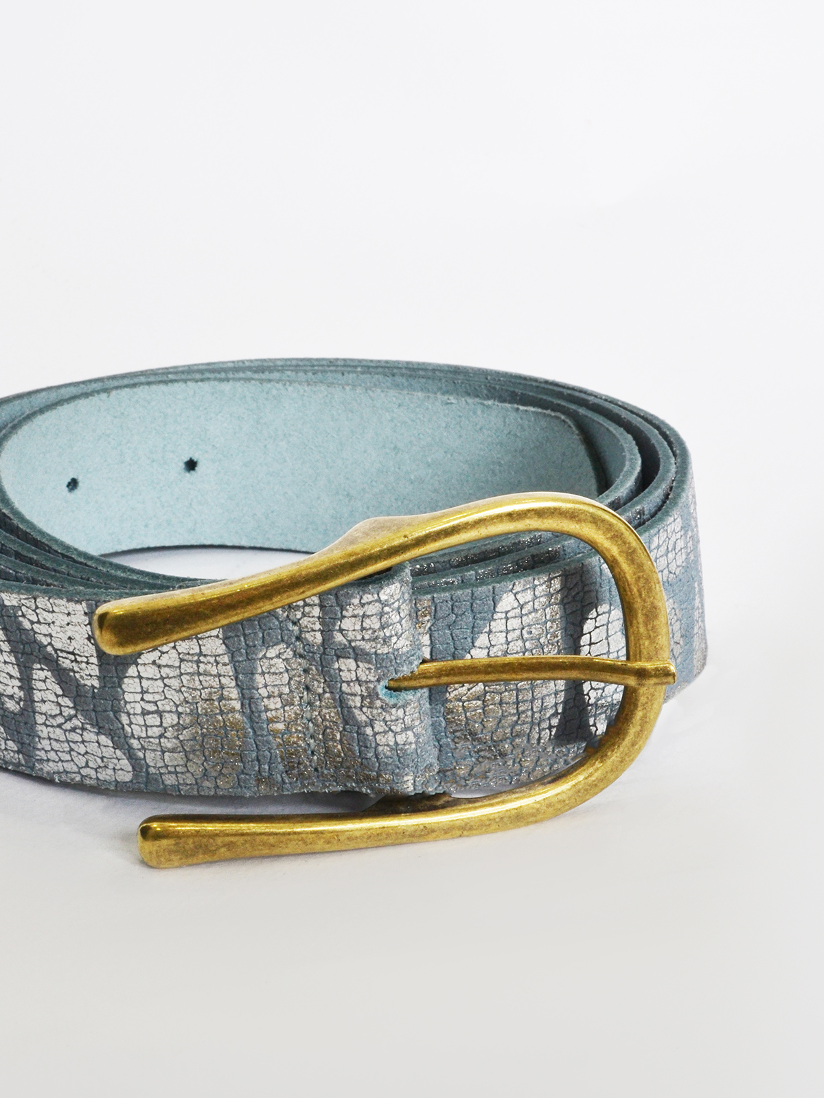 Δερμάτινη snakeskin ζώνη με metallic μοτίβο φωτογραφία