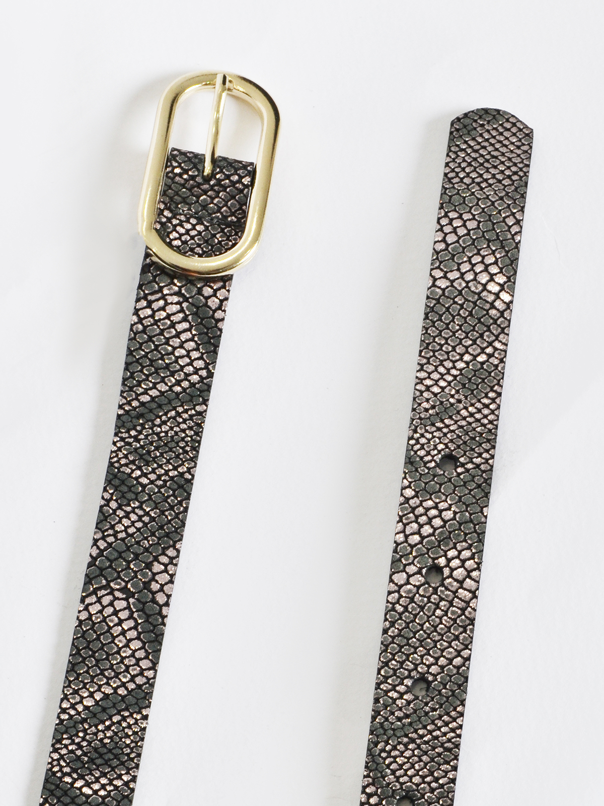 Δερμάτινη snakeskin ζώνη με metallic μοτίβο φωτογραφία