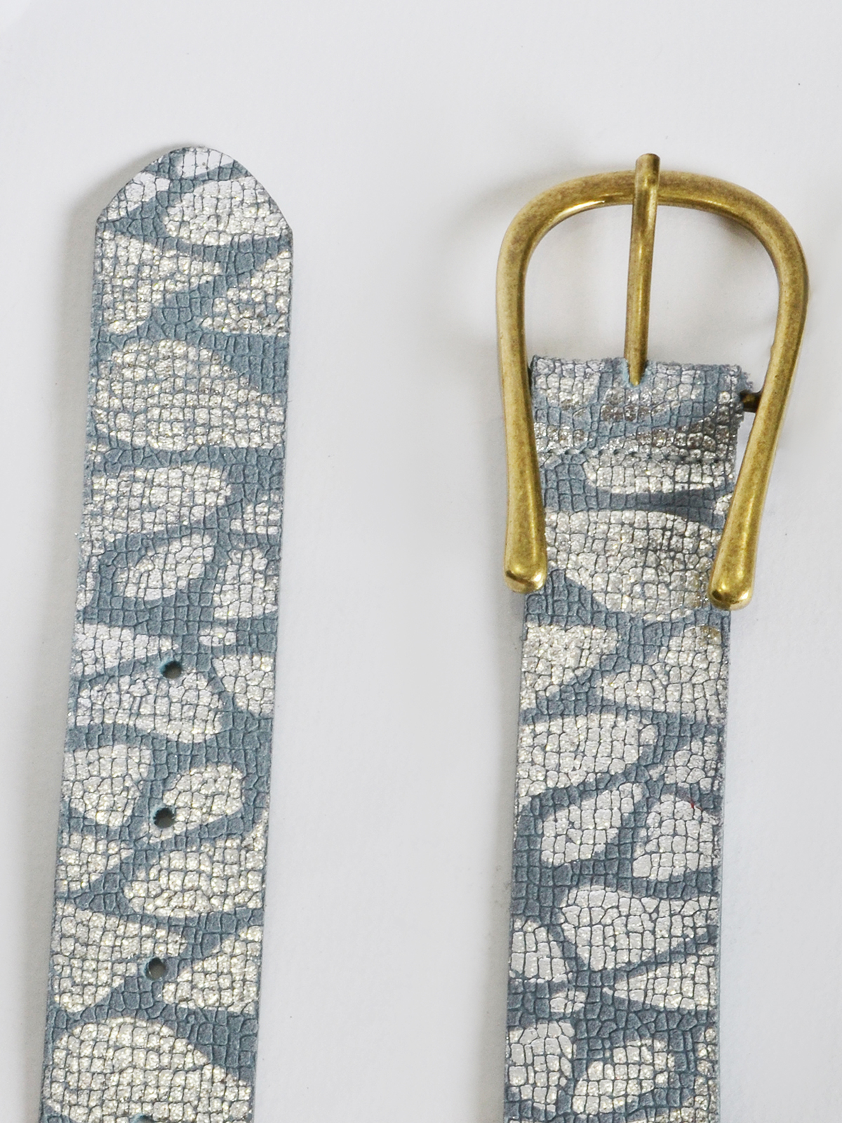 Δερμάτινη snakeskin ζώνη με metallic μοτίβο φωτογραφία