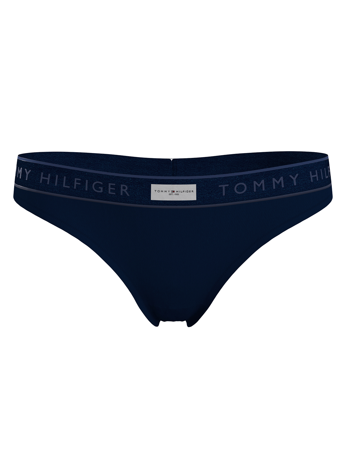 Σλιπ Established Tonal Logo Waistband Thong φωτογραφία